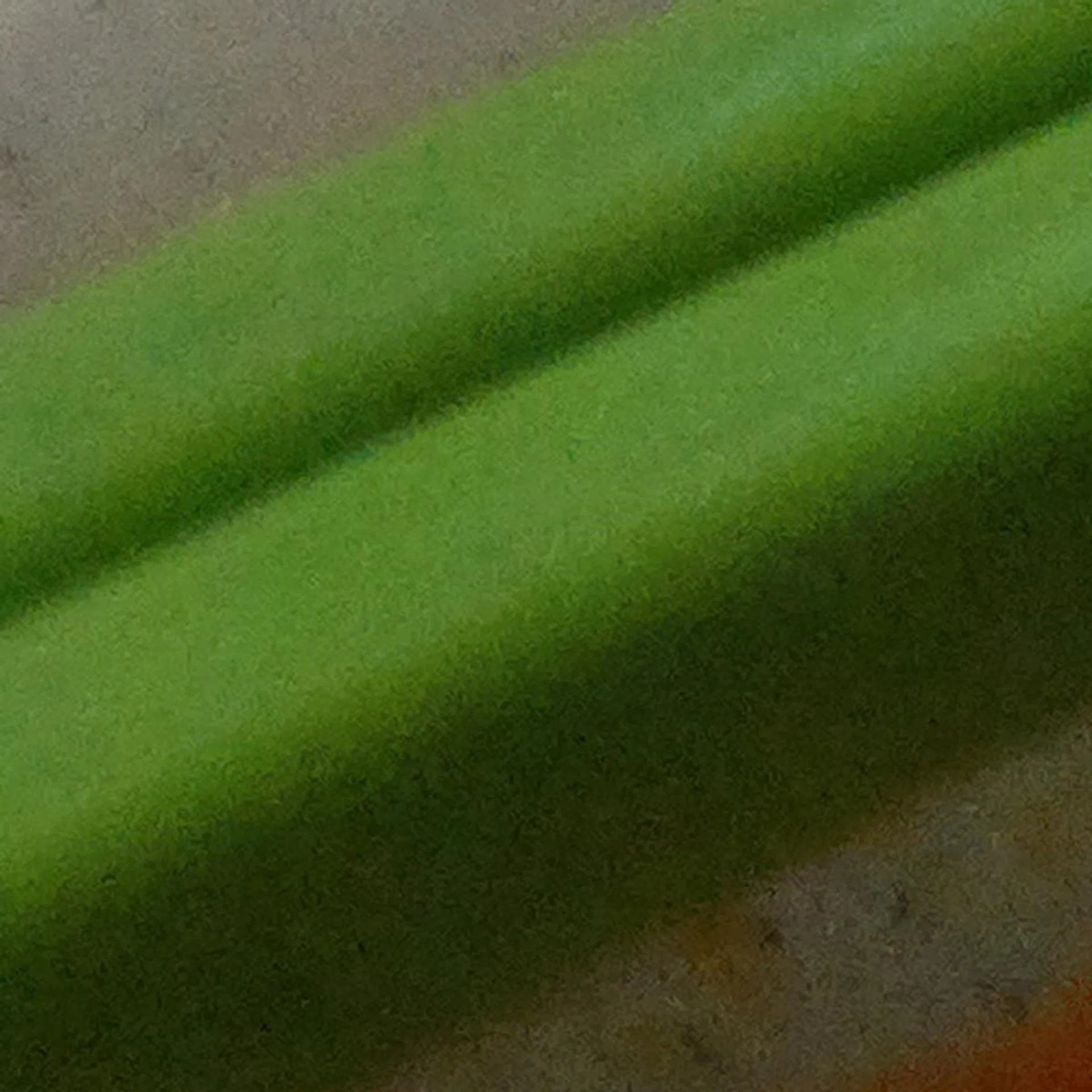 The low light forced us to bump the 808 PureView's light sensitivity up to ISO400, and the 100% crop revealed that noise is very obvious here, with a loss of detail as well.