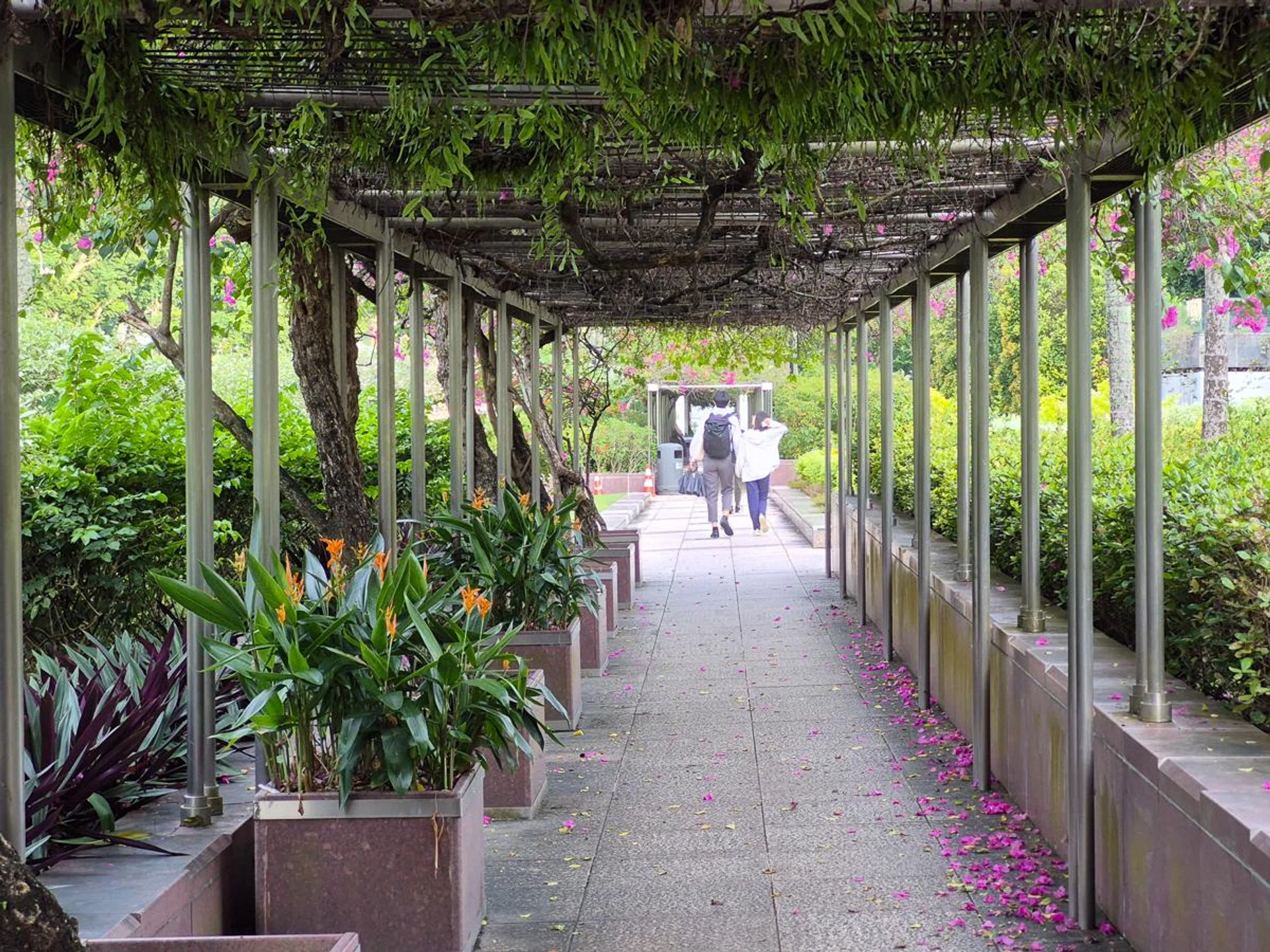 3x optical zoom. Photo: HWZ.