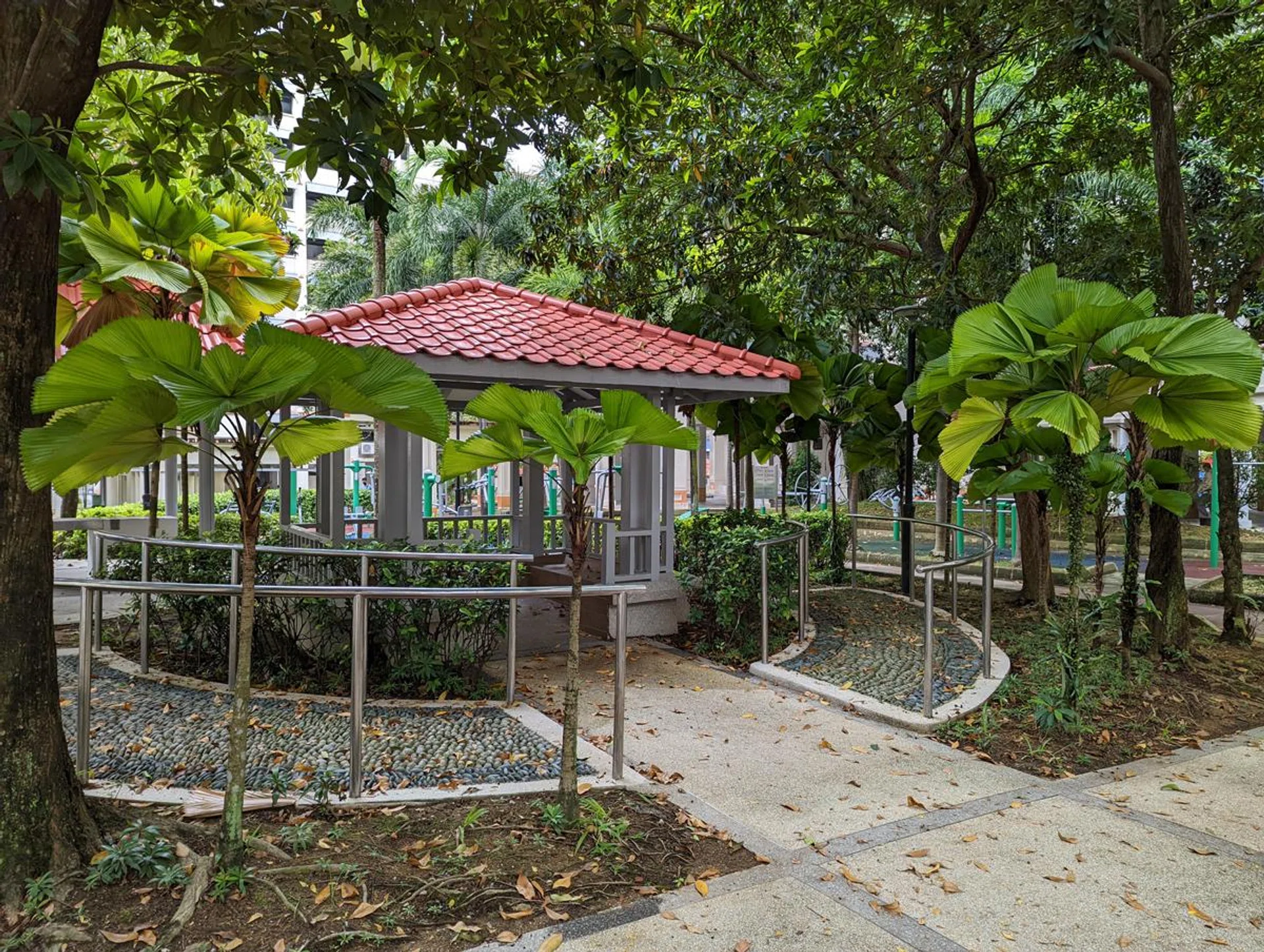 Pixel 6, Main Camera.