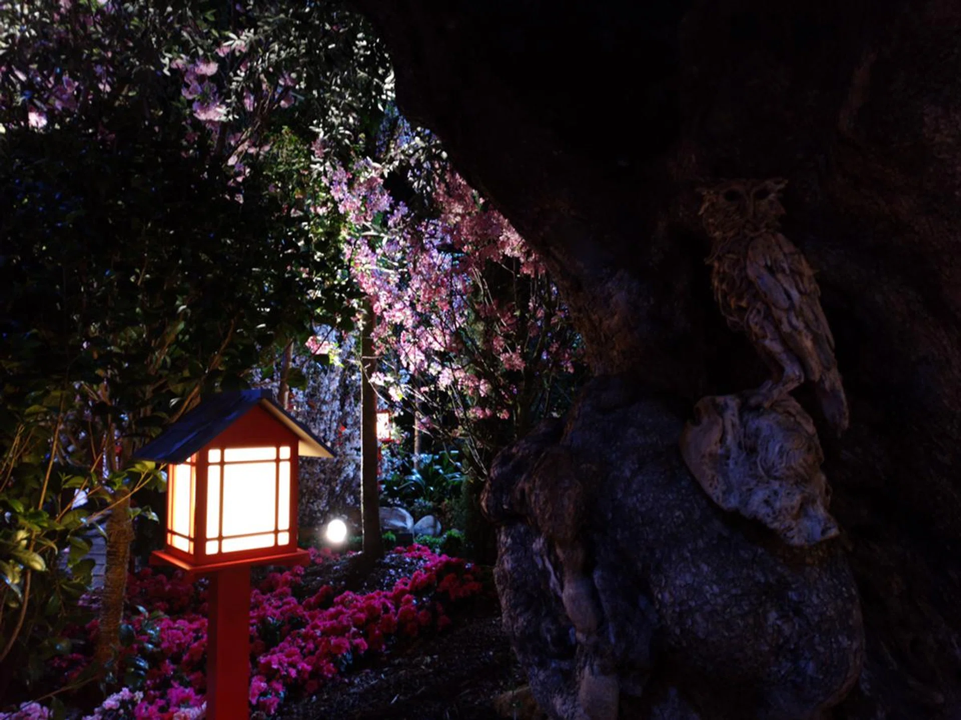 f/1.8 at 3.95mm, 0.3 sec, ISO 64. A normal shot that accurately captured how this scene looked to my naked eye. The tree to the right was dark with minimal light.