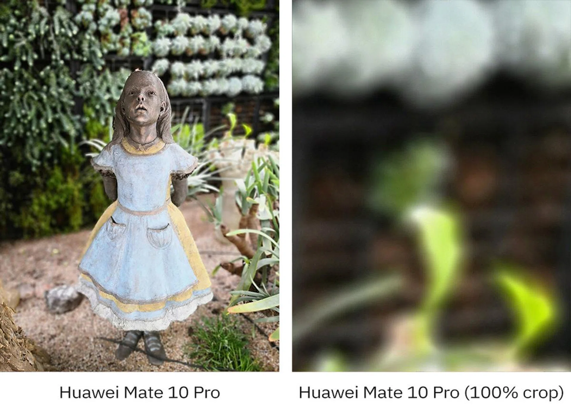 The Huawei Mate 10 Pro’s background blur can look … odd, with strange halos (right image).