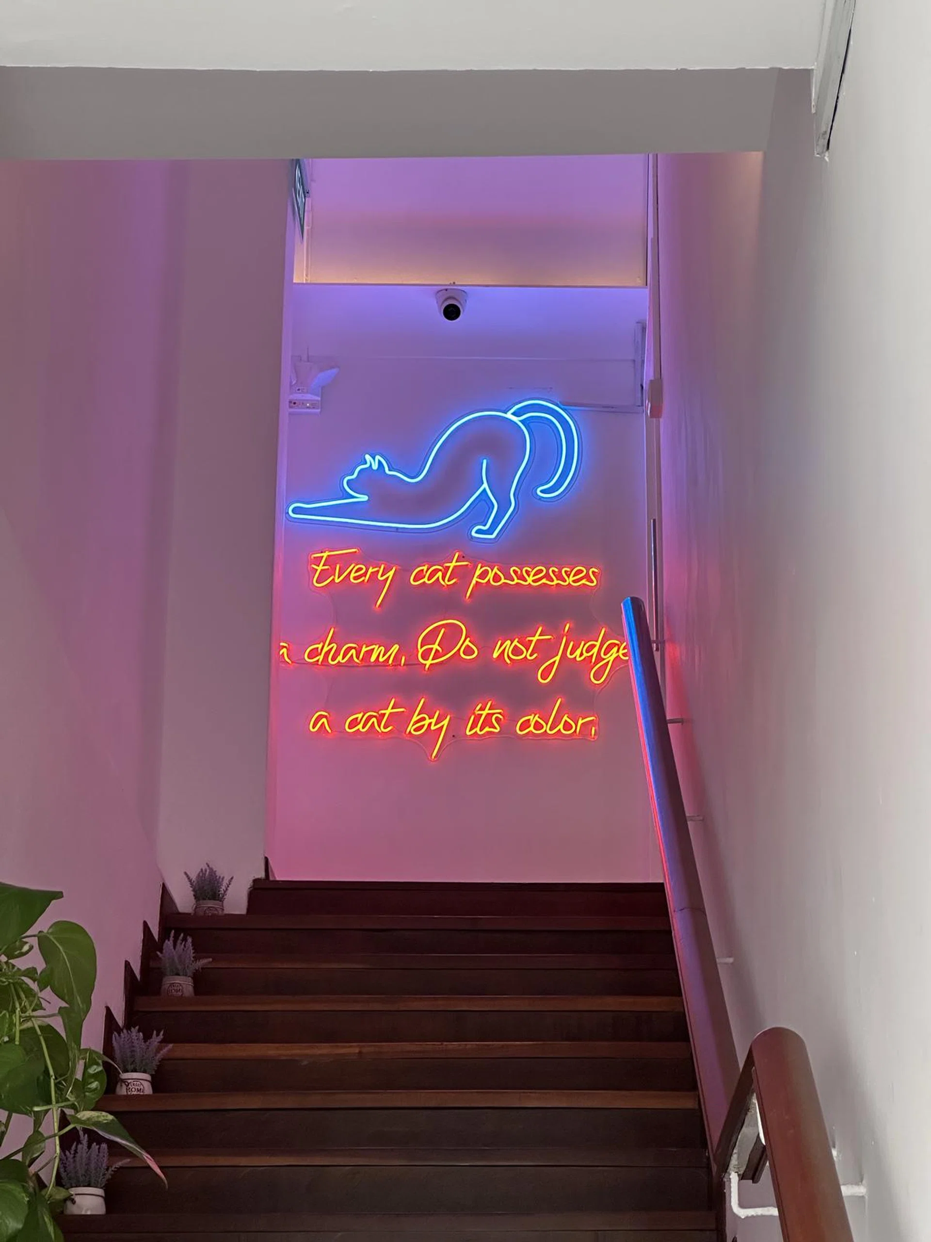 Taken with the iPhone 14 Pro Max's 3x telephoto camera. Click to see the image in its full resolution.