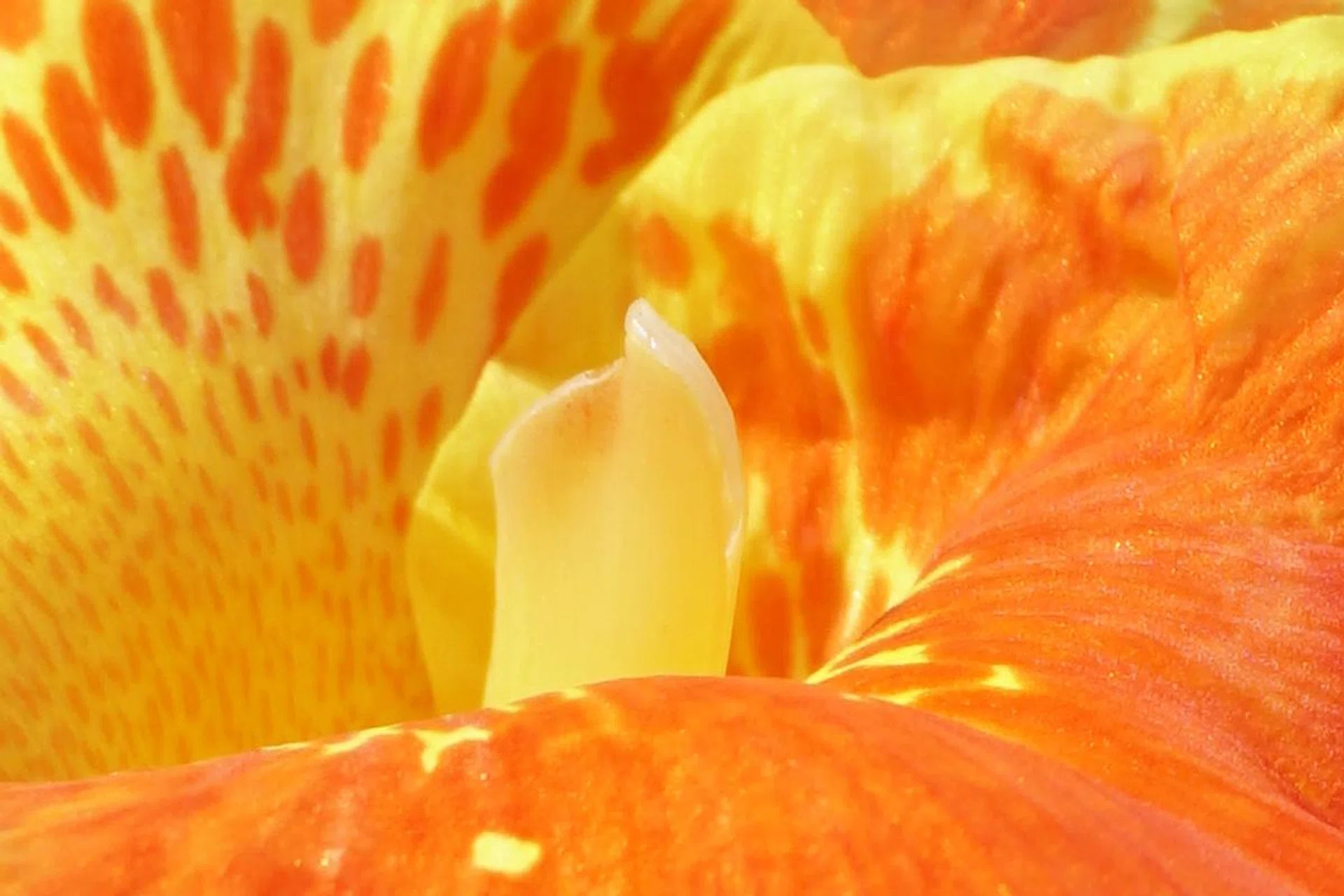 100% crop (A6300)