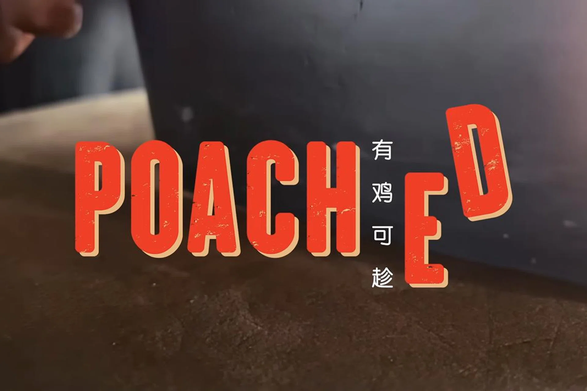 Chicken rice. Now shot on iPhone, because of Apple.