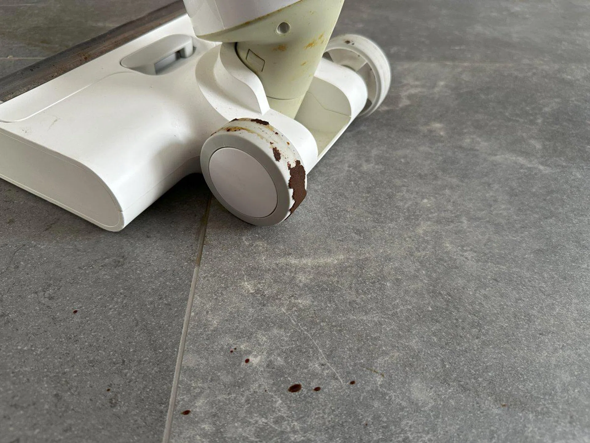 If you move the brush head in a forward and backwards motion, the rollers can trap dirt that hasn't been cleaned yet.