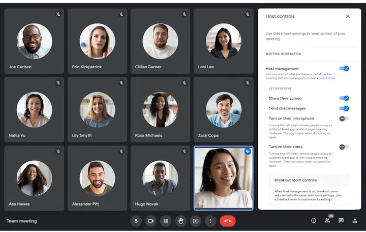 Once muted, only the host can unmute participants. Image source: Google. 