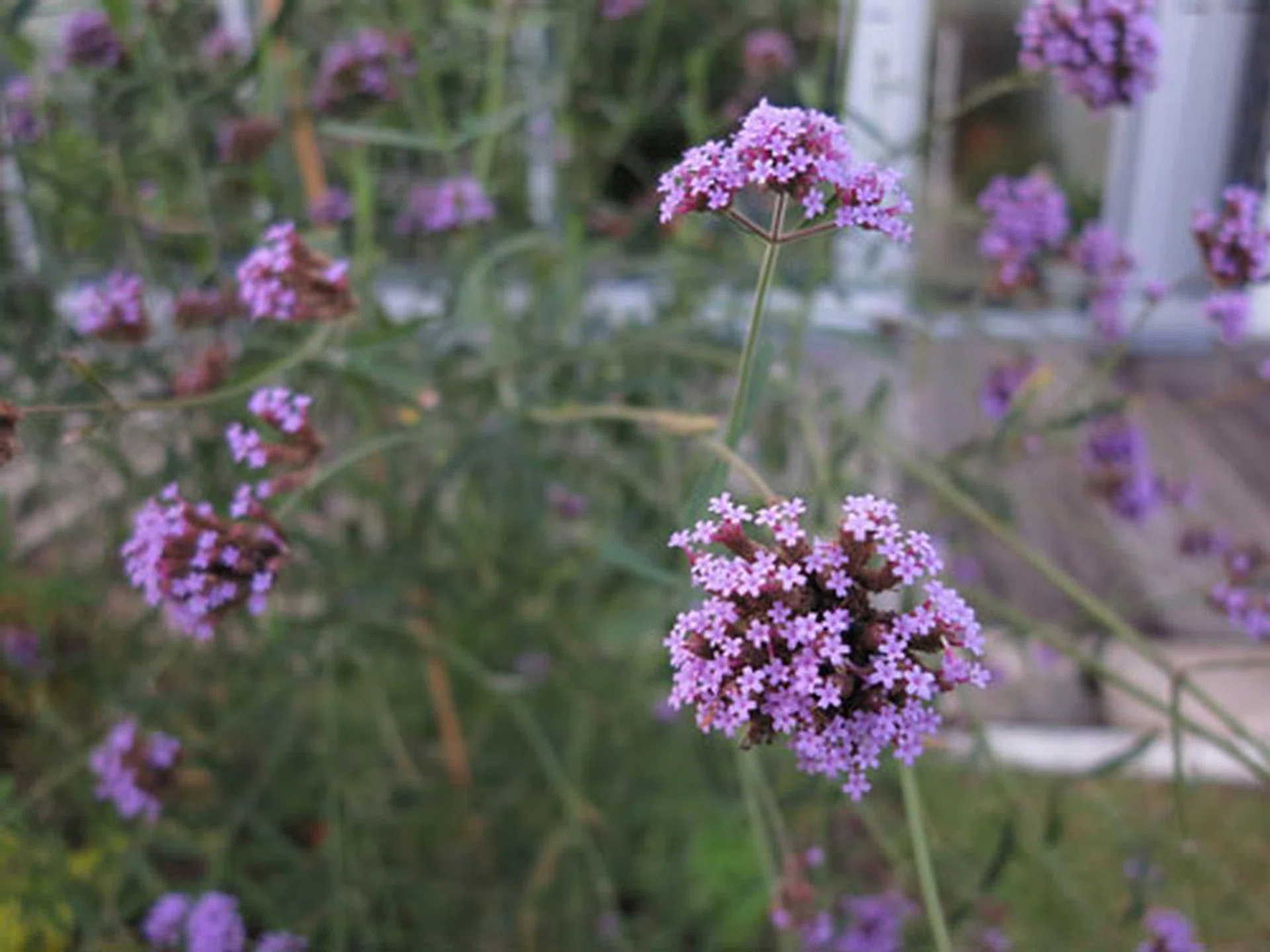 f/2.8 at 28mm (35mm equivalent), 1/60 sec, ISO800.