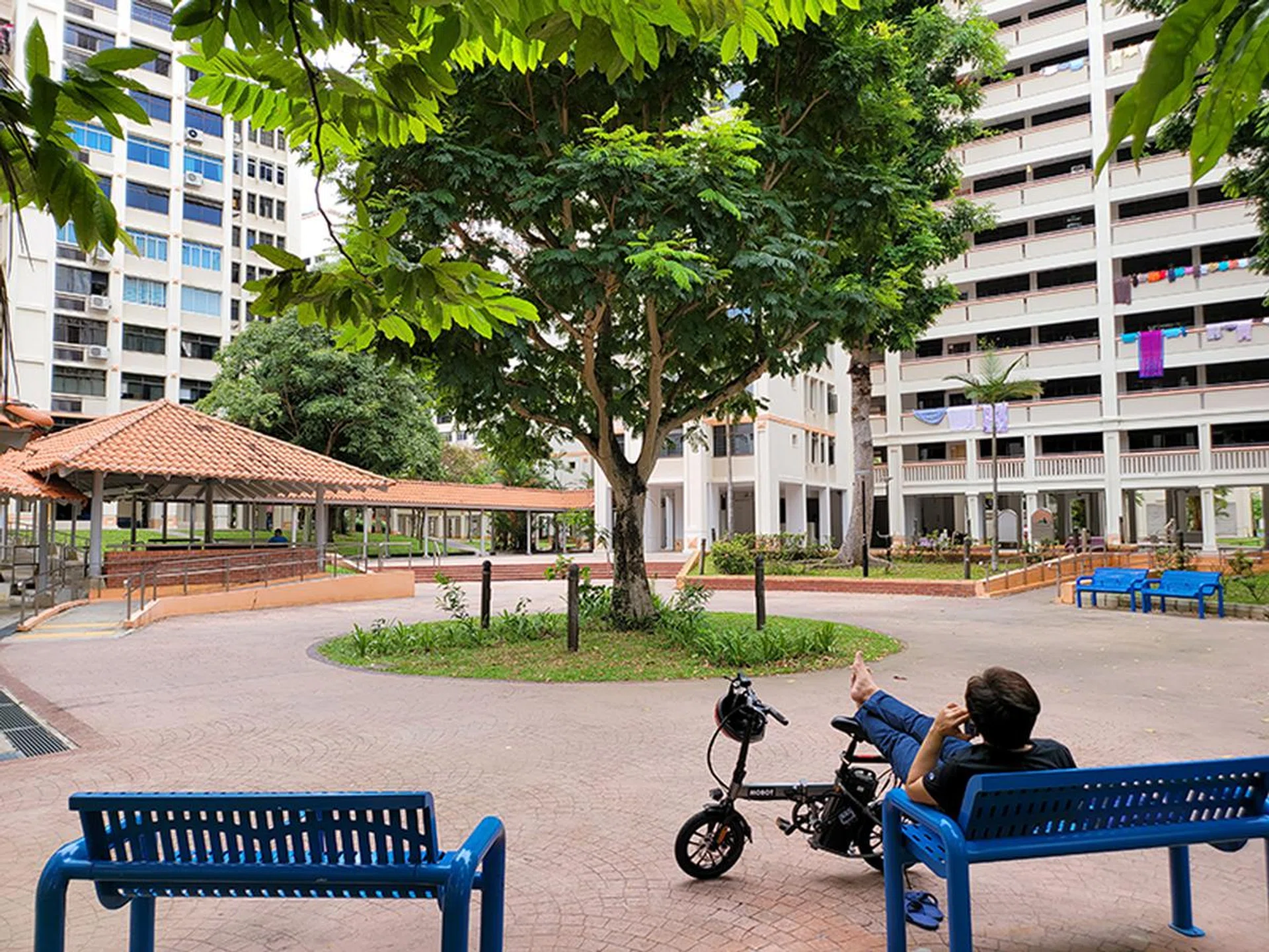 Main camera, no zoom.