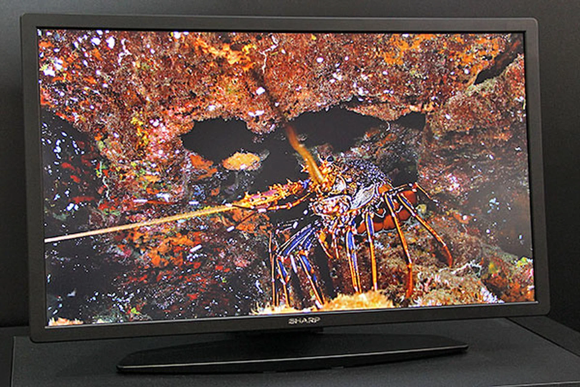 This is a 31.5-inch IGZO LCD monitor with a 3,840 x 2,160-dot resolution (ultra HD 140ppi). It's edge LED lit, and this results in a depth no more than 35mm. Sharp calls this a high-grade, high-definition monitor, and we can see why. 