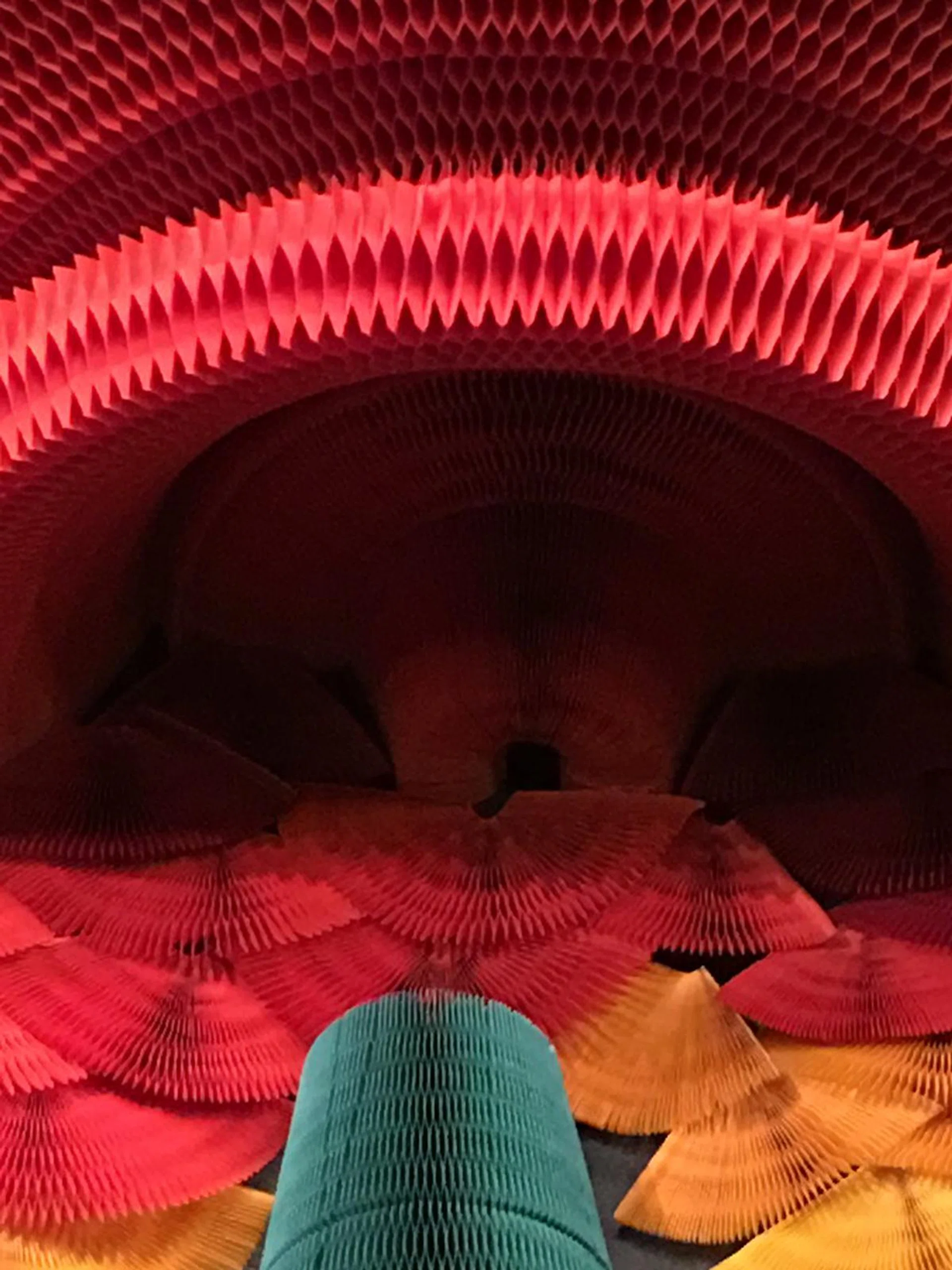 Apple iPhone 6s Plus, 100% crop. f/2.2 at 29mm, 1/8 sec, ISO 160.
