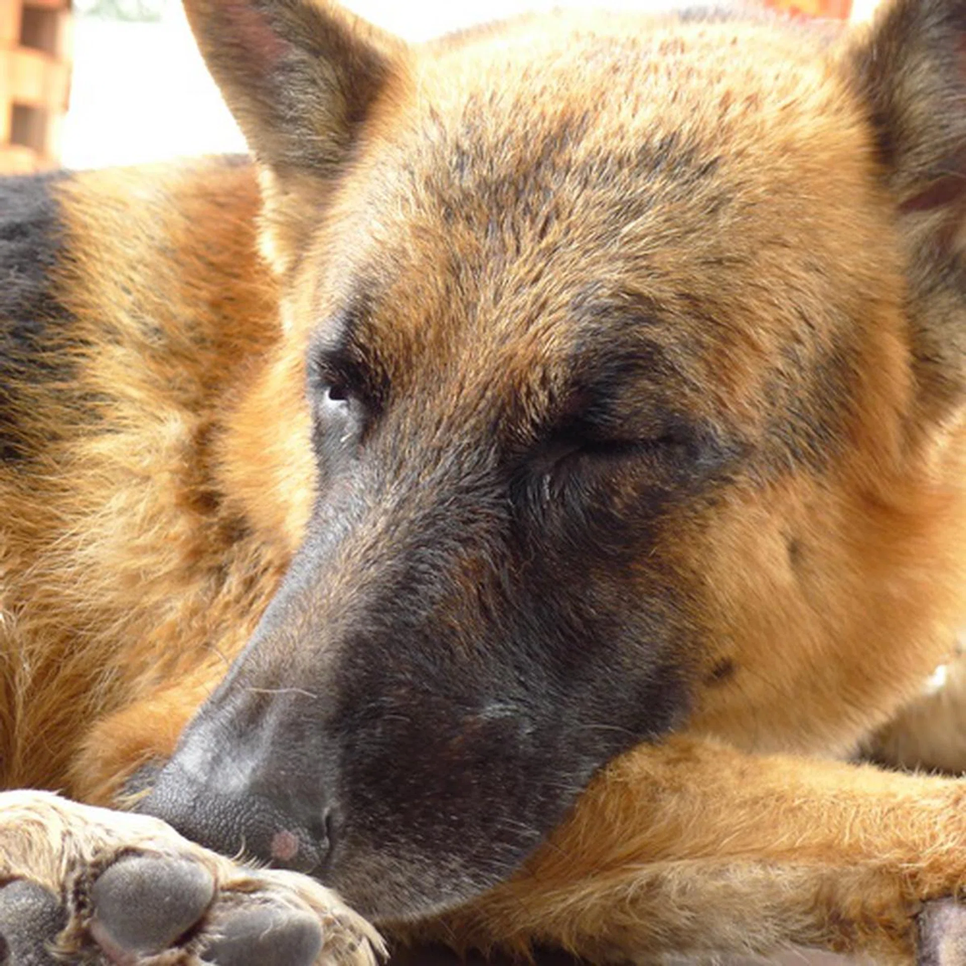 Shot at f/2.9, 77mm, 1/100 sec, ISO125.