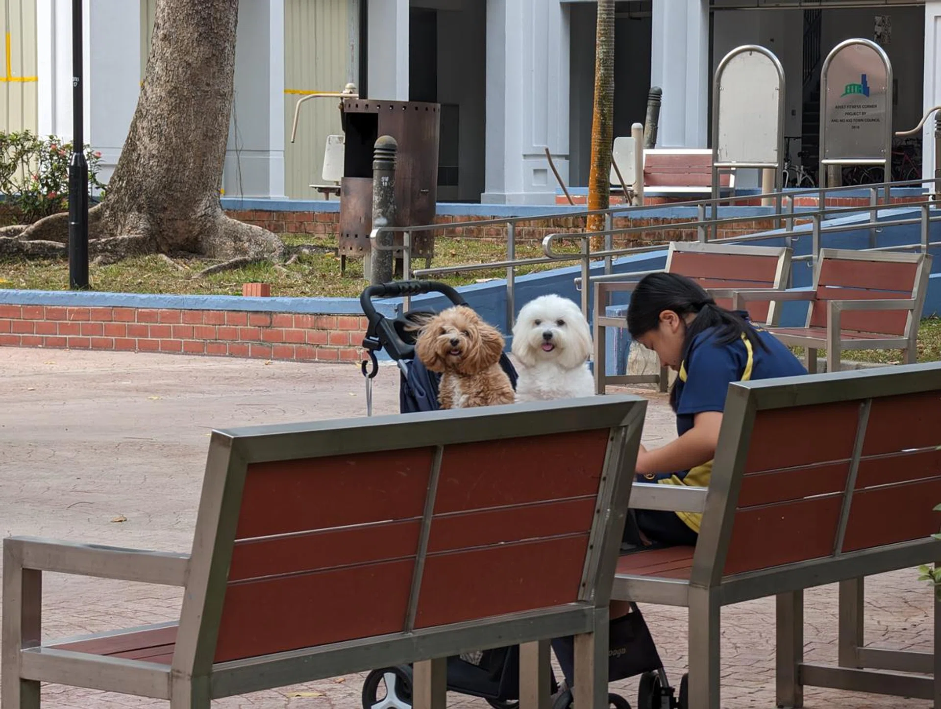 Google Pixel 8 Pro, 5x optical zoom.