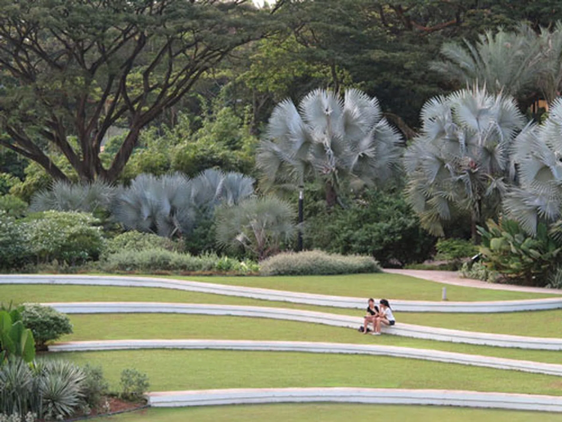 f/11 at 112mm (35mm equivalent), 1/50 sec, ISO800.