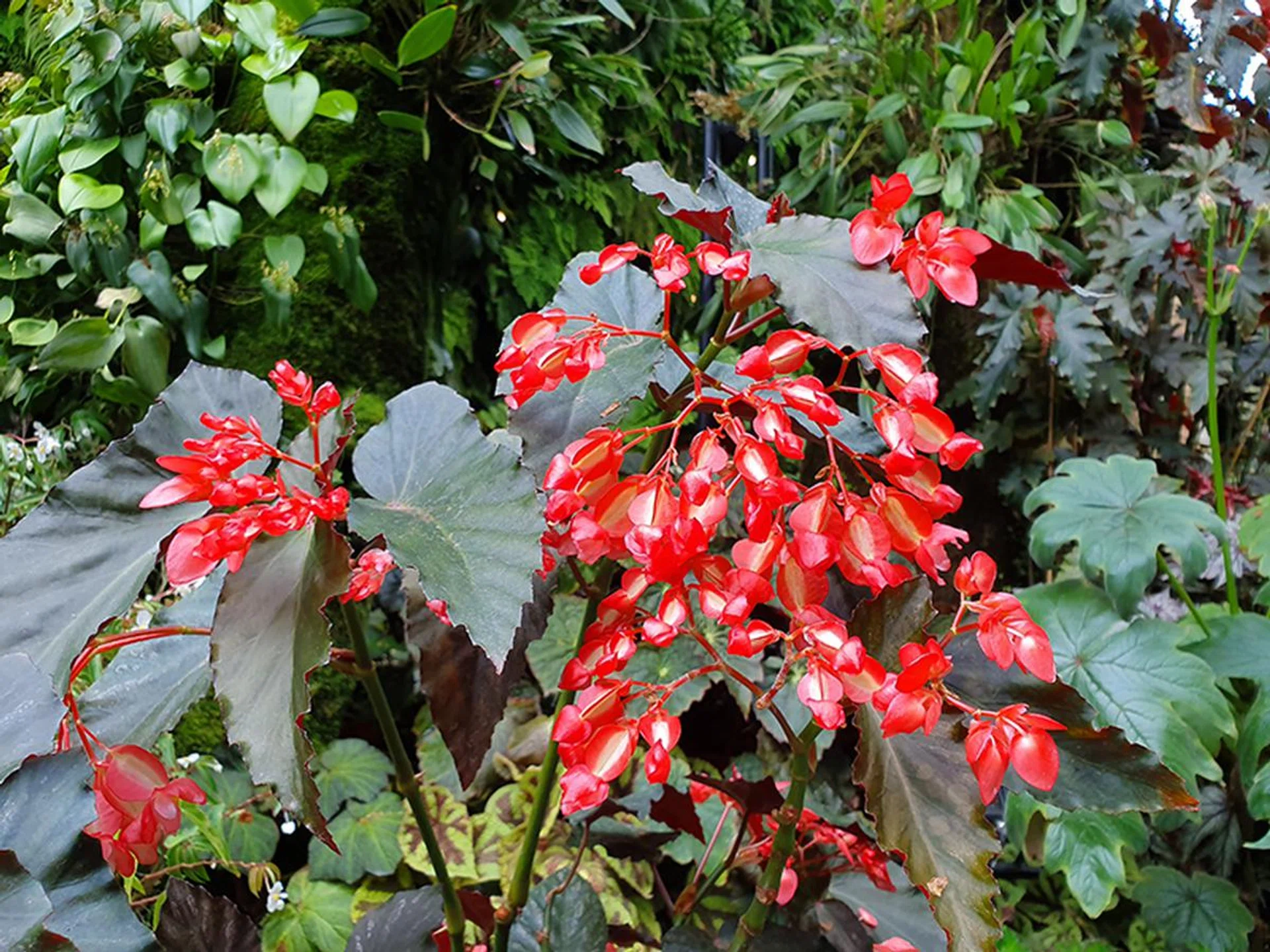 S10+. (Click to see full-size image)