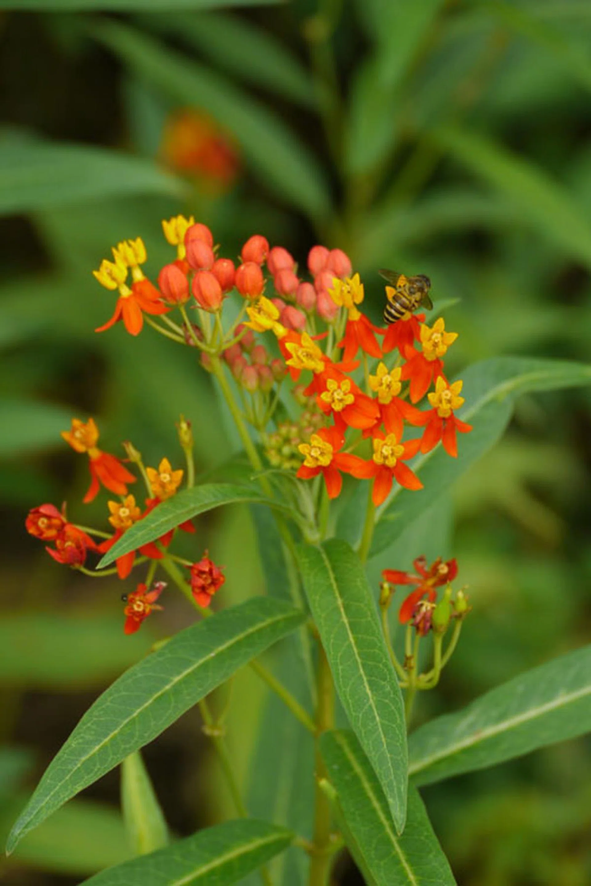 f/5.8 at 168mm, 1/160 sec, ISO400.