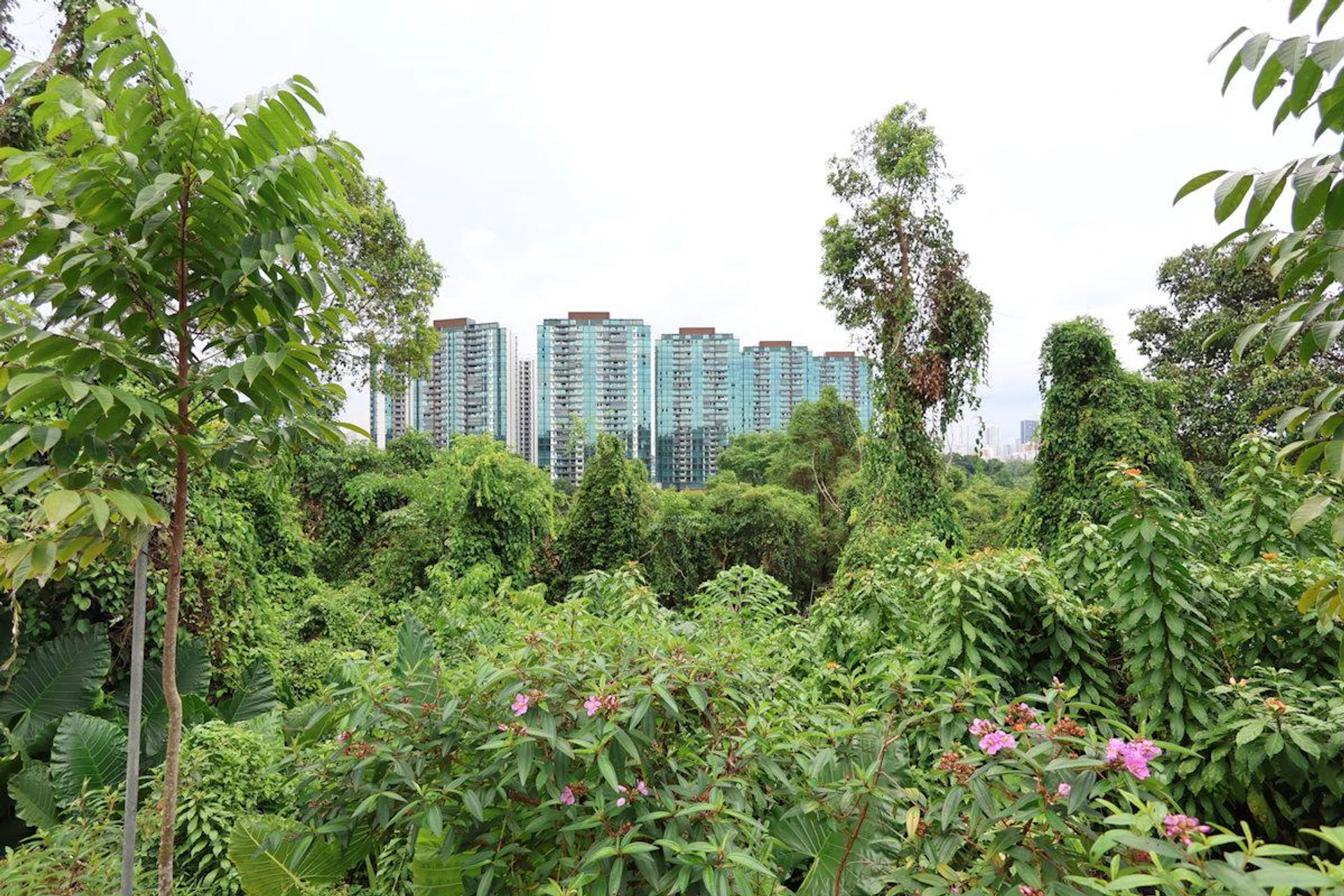 PowerShot V1 (Day) - 16mm at f/2.8, 1/640s, ISO 100. Photo: HWZ