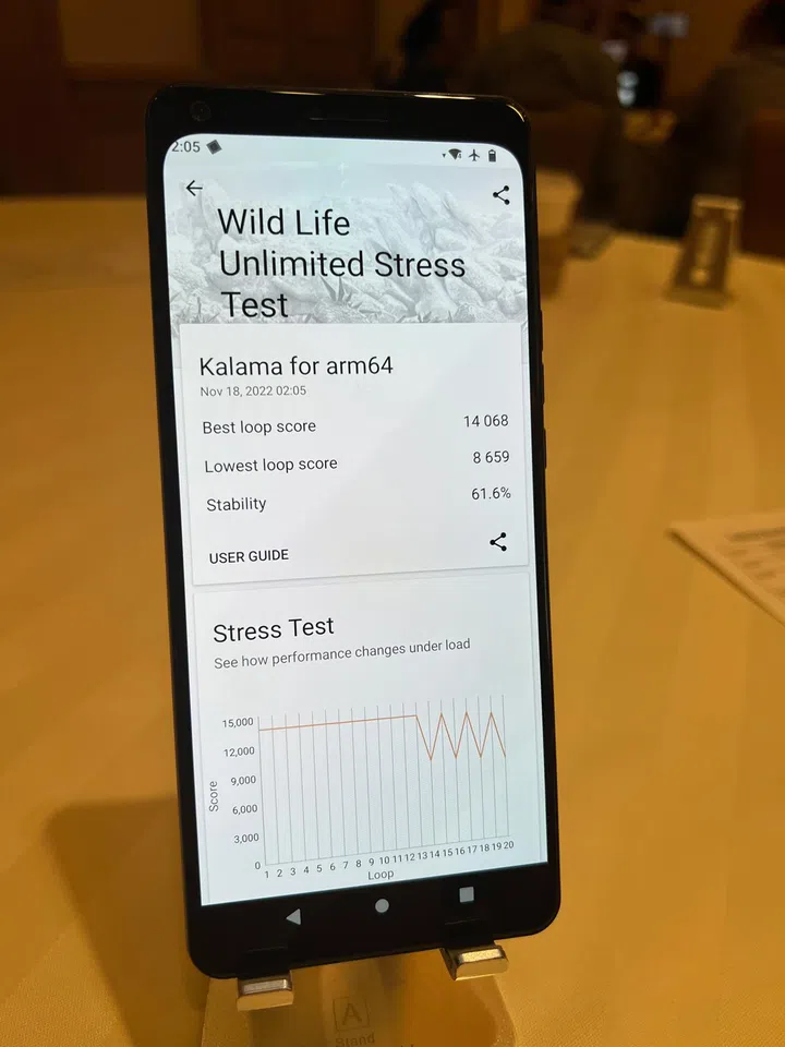 Running 3DMark Wild Life Unlimited Stress Test.