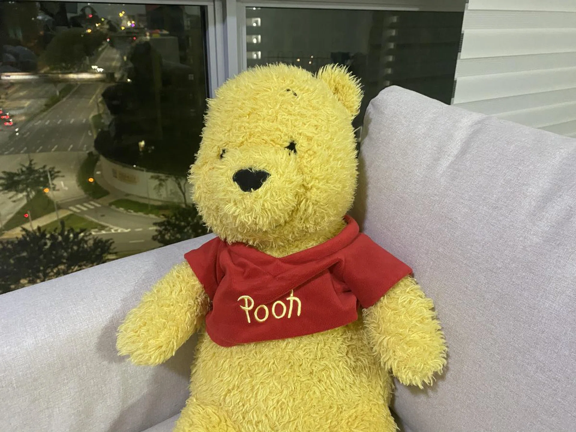 This was taken by the iPhone 11 Pro Max and it exhibits significantly more detail. However, the colours seem a bit muted. Click to see image in full resolution.
