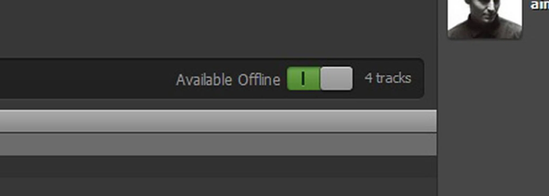 Every playlist has an "Available Offline" toggle switch which can be used to make your tracks available for playback without an internet connection.