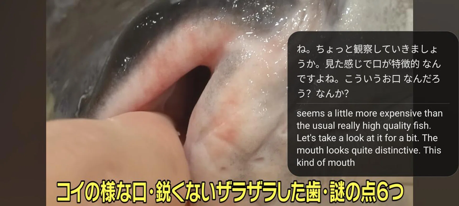 AI subtitles. Photo: HWZ.