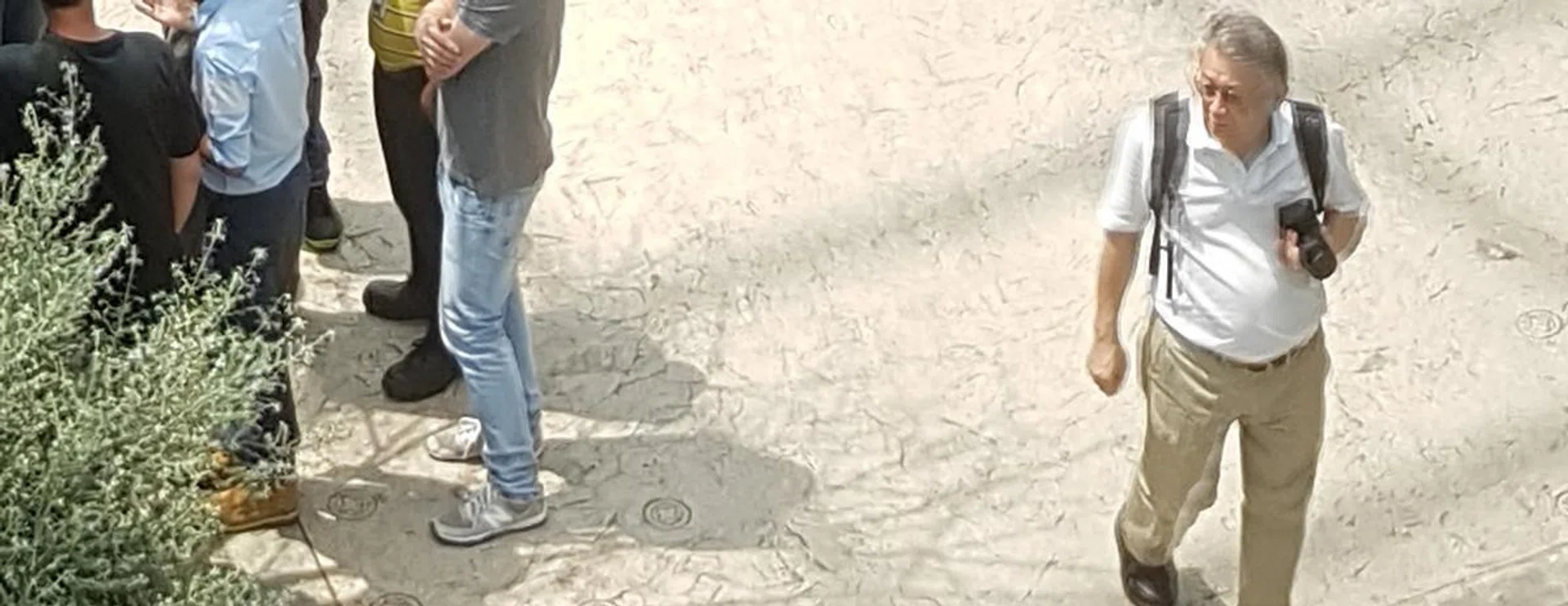 100% crop. Samsung Galaxy S7 Edge.