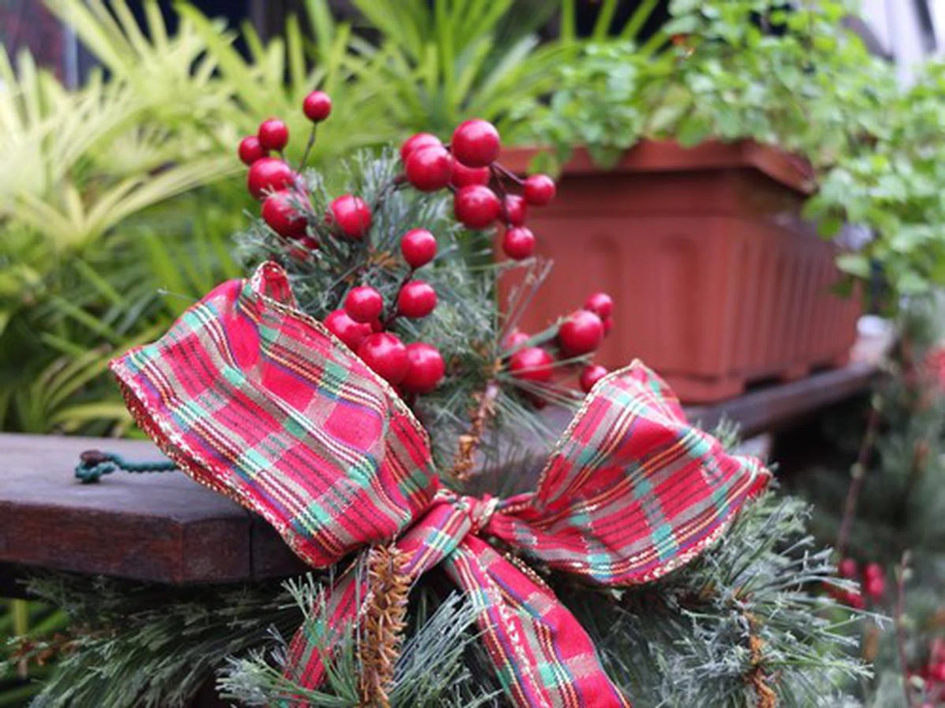 f/2.2 at 40mm (35mm equivalent), 1/350 sec, ISO200.