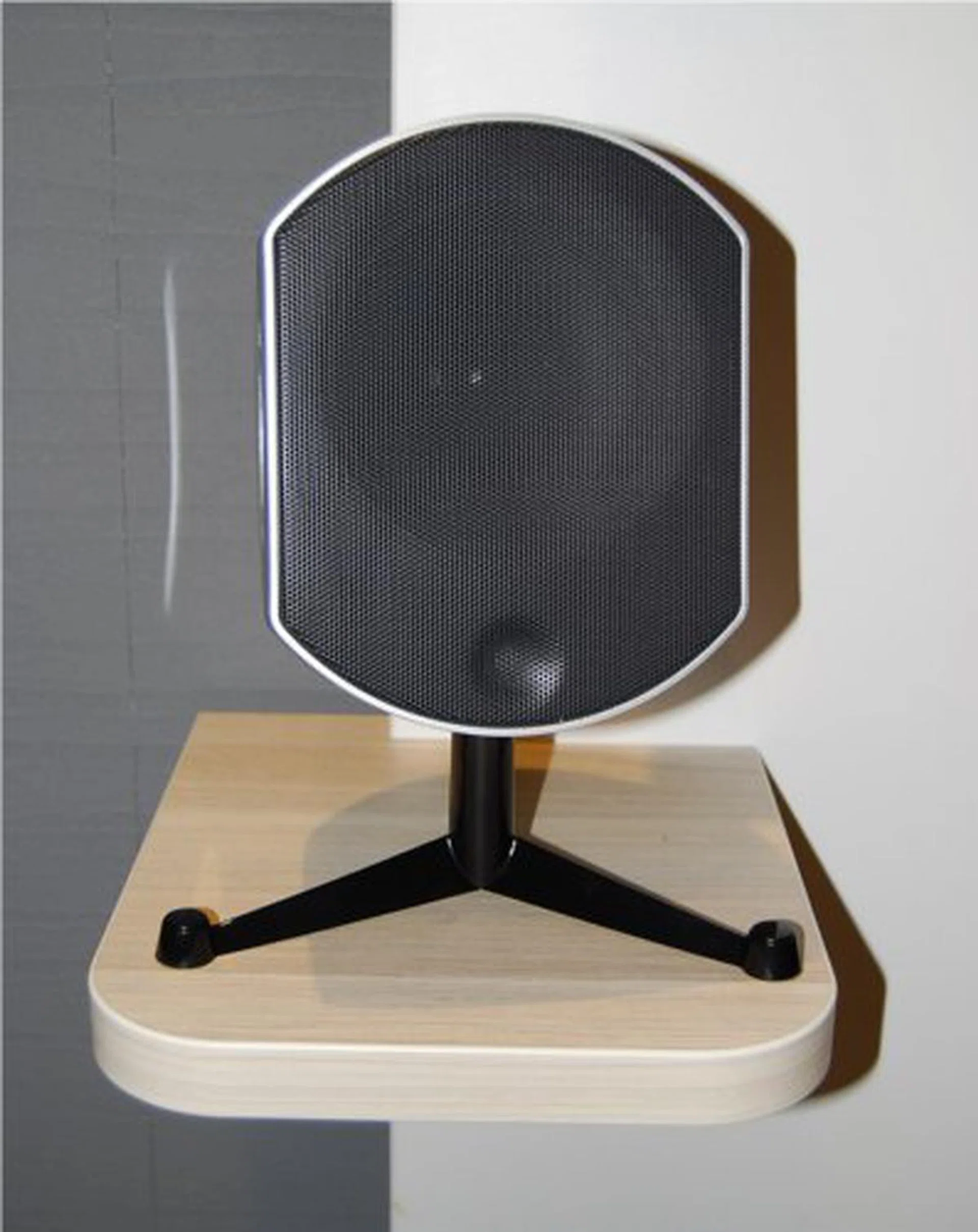 The Bird perched on its ledge, boasts a 5.5-inch driver.