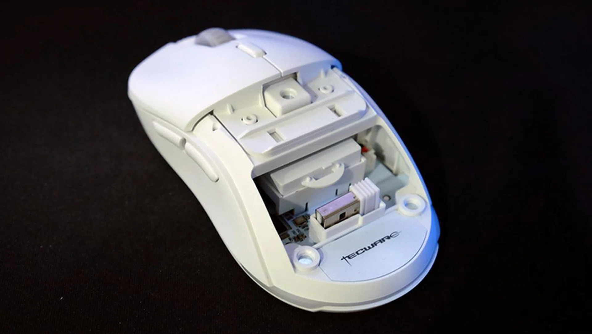 Tecware Pulse gaming mouse review: Budget wireless | HardwareZone Singapore