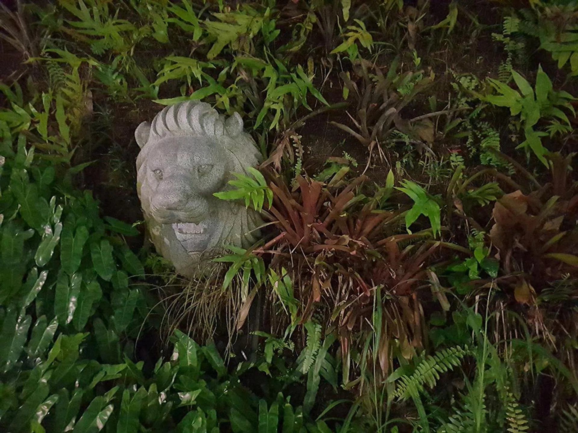 f/1.5 with wide-angle, 1/4 sec, ISO 1,250. All other settings have remained the same, the only difference is that the aperture has been opened to f/1.5. There’s significantly more light being captured now.