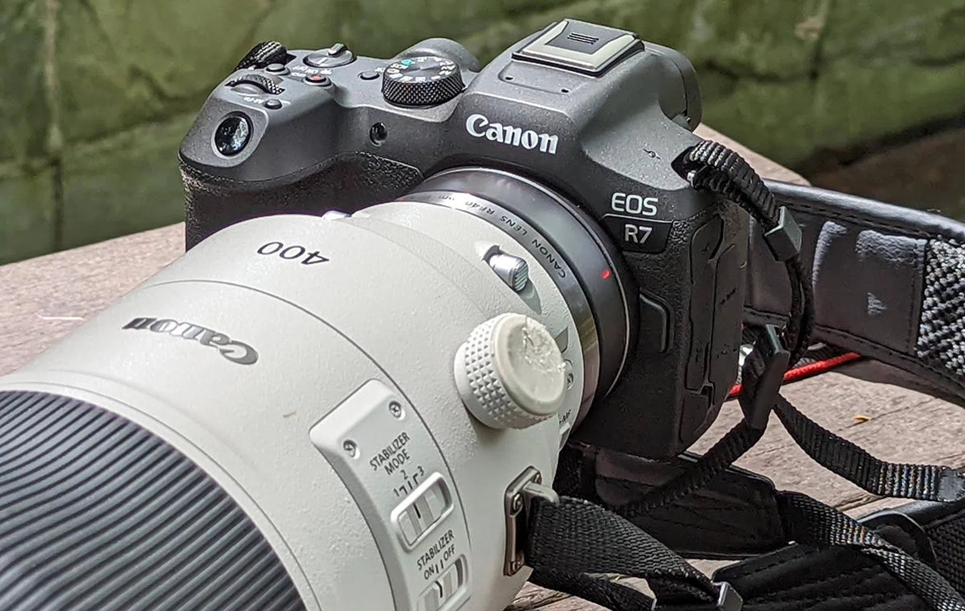 The Canon EOS R7 is here mounted with a RF 400mm f/2.8 IS USM lens.
