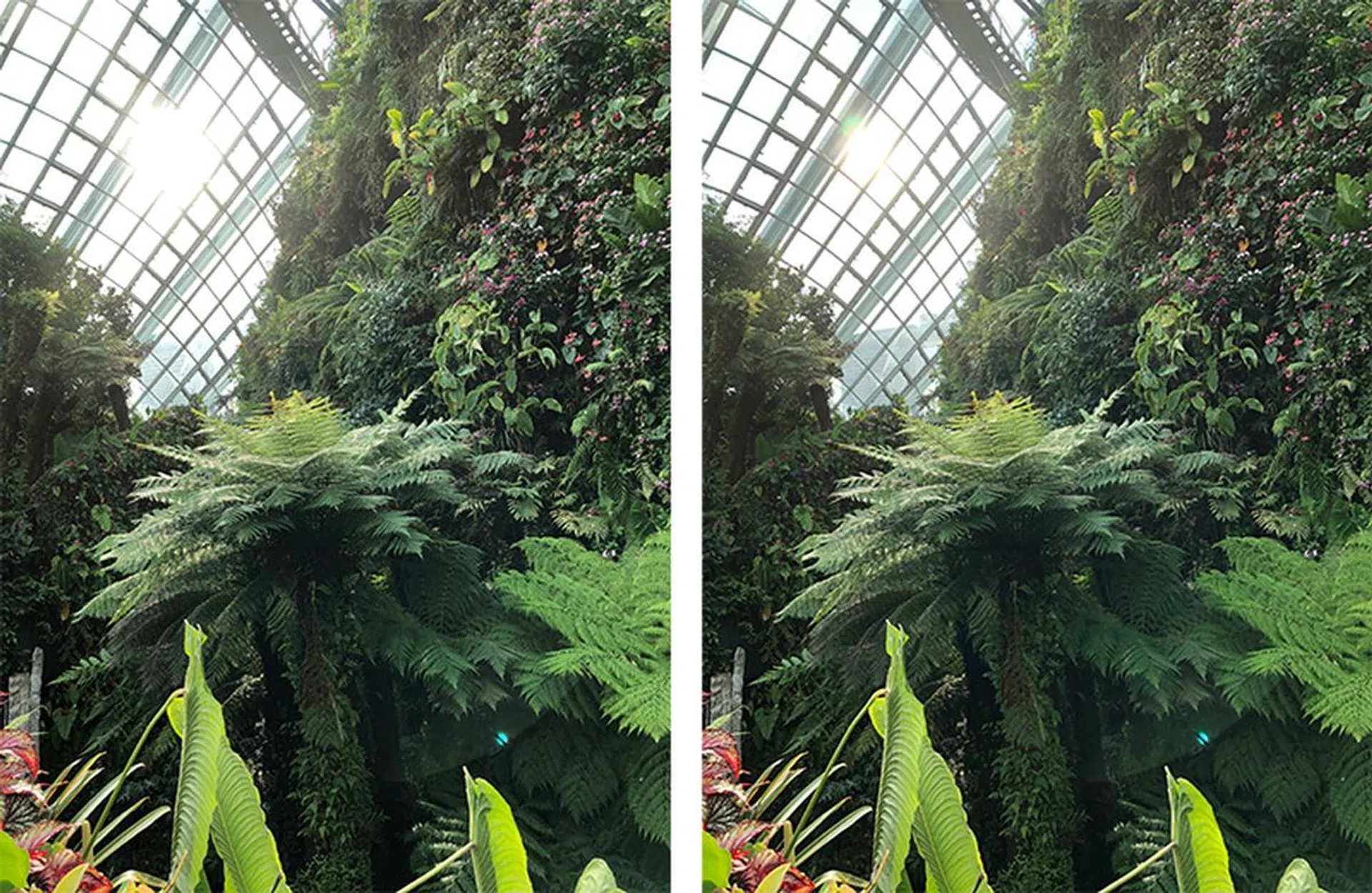 iPhone 8 Plus non-HDR (left) and HDR (right). In the HDR image, there are more details in the shadow areas, compared to the Note8.