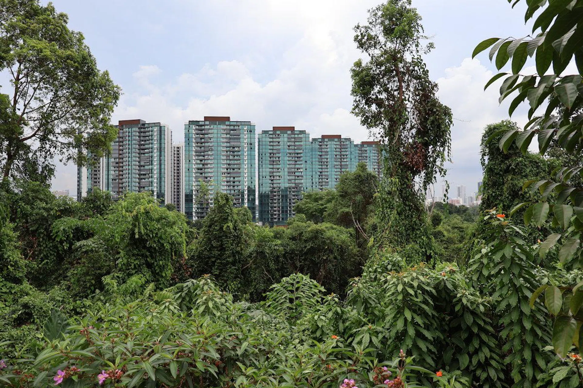 EOS R50 V (Day) - 22.4mm at f/4, 1/640, ISO 100. Photo: HWZ