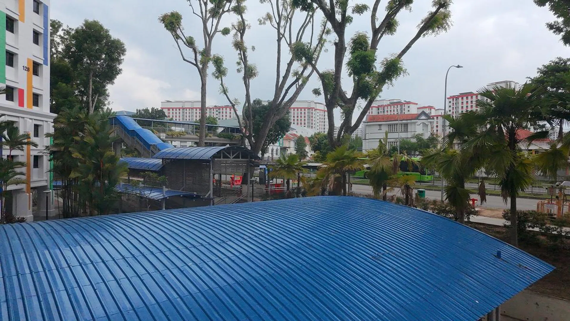 Shot under the sun at noon. Photo: HWZ
