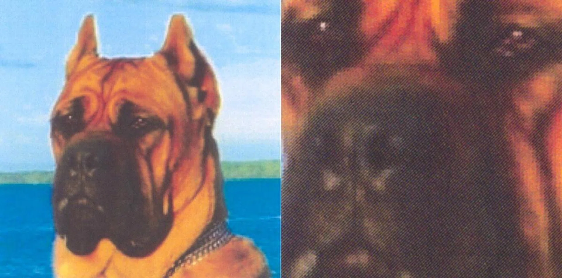 Close-up scan of its colour image print capability.