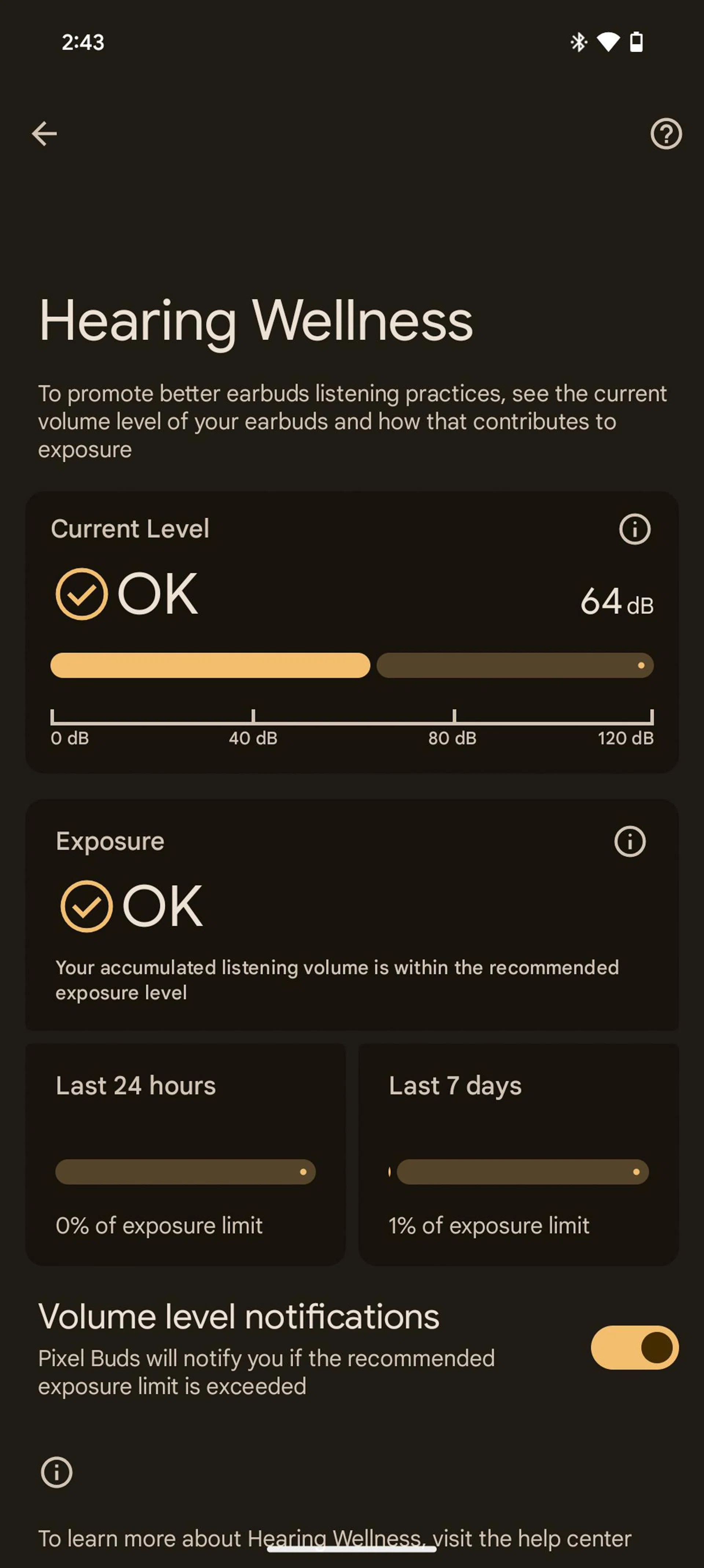 Pixel Buds app. Photo: HWZ.