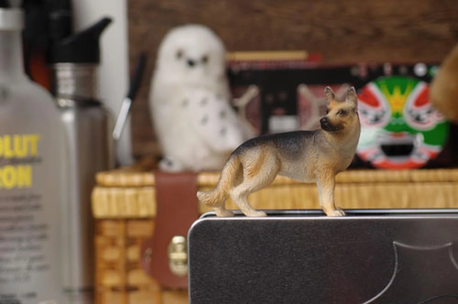 A sample of the background blur possible at the longest end of the lens, f/2.5 at the XZ-1's maximum zoom of 112mm (35mm equivalent).