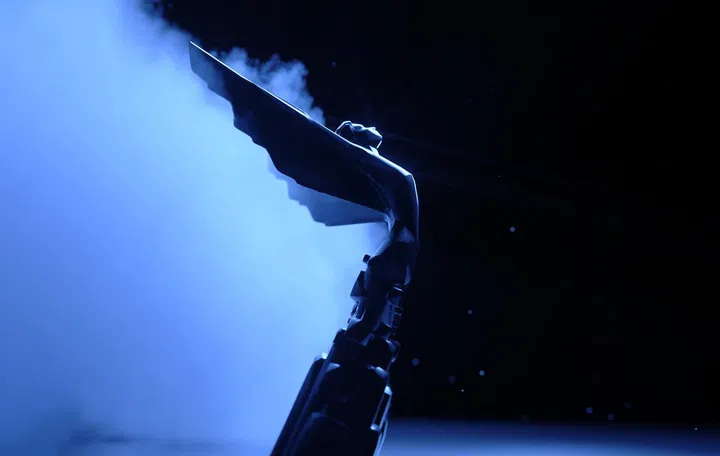 Image: The Game Awards