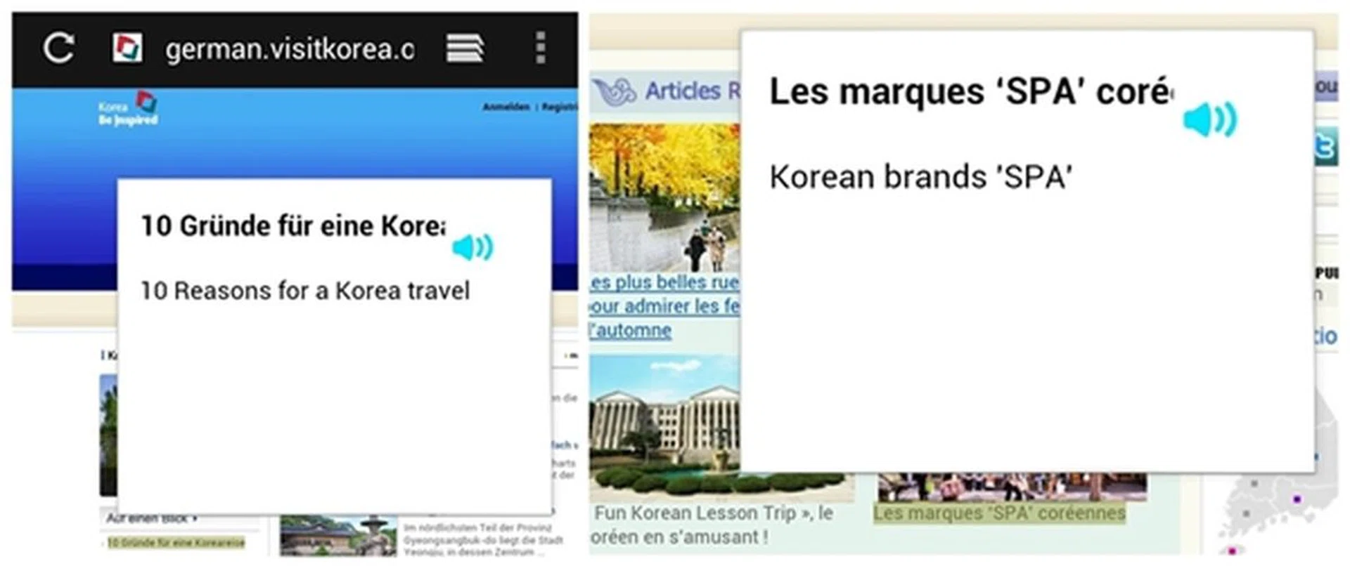 Instant Dictionary can also be used to translate foreign languages such as German (left) and French (right).
