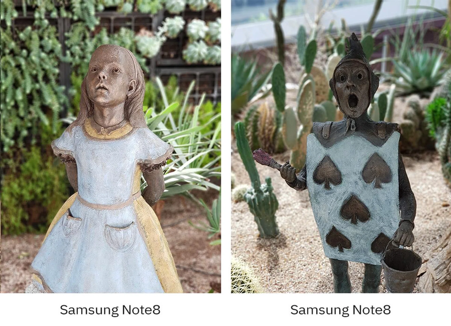 Like the iPhone X, the Samsung Note8 doesn’t quite get the shot on the left, but nails the one on the right.