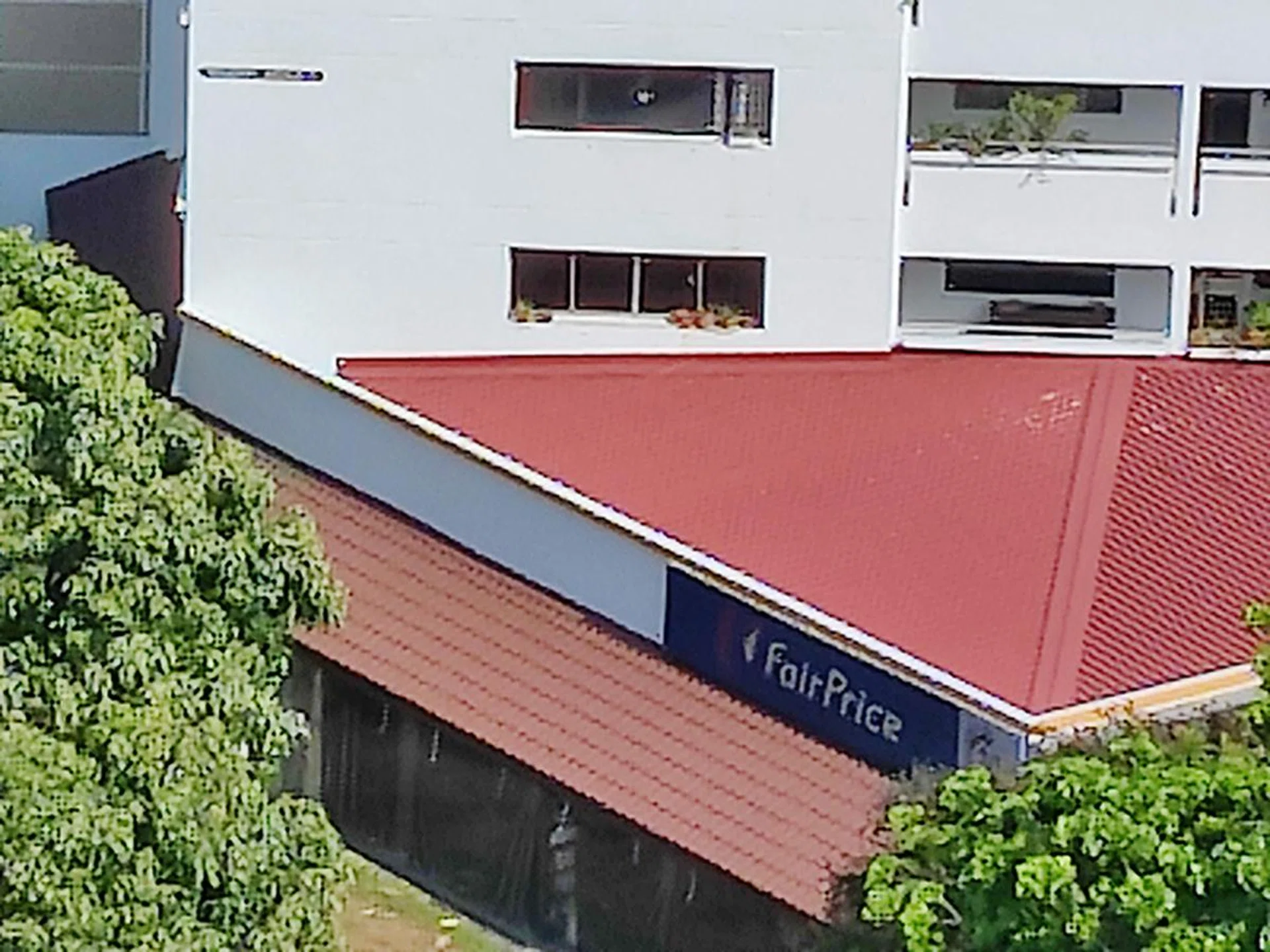 10x zoom (maximum zoom).