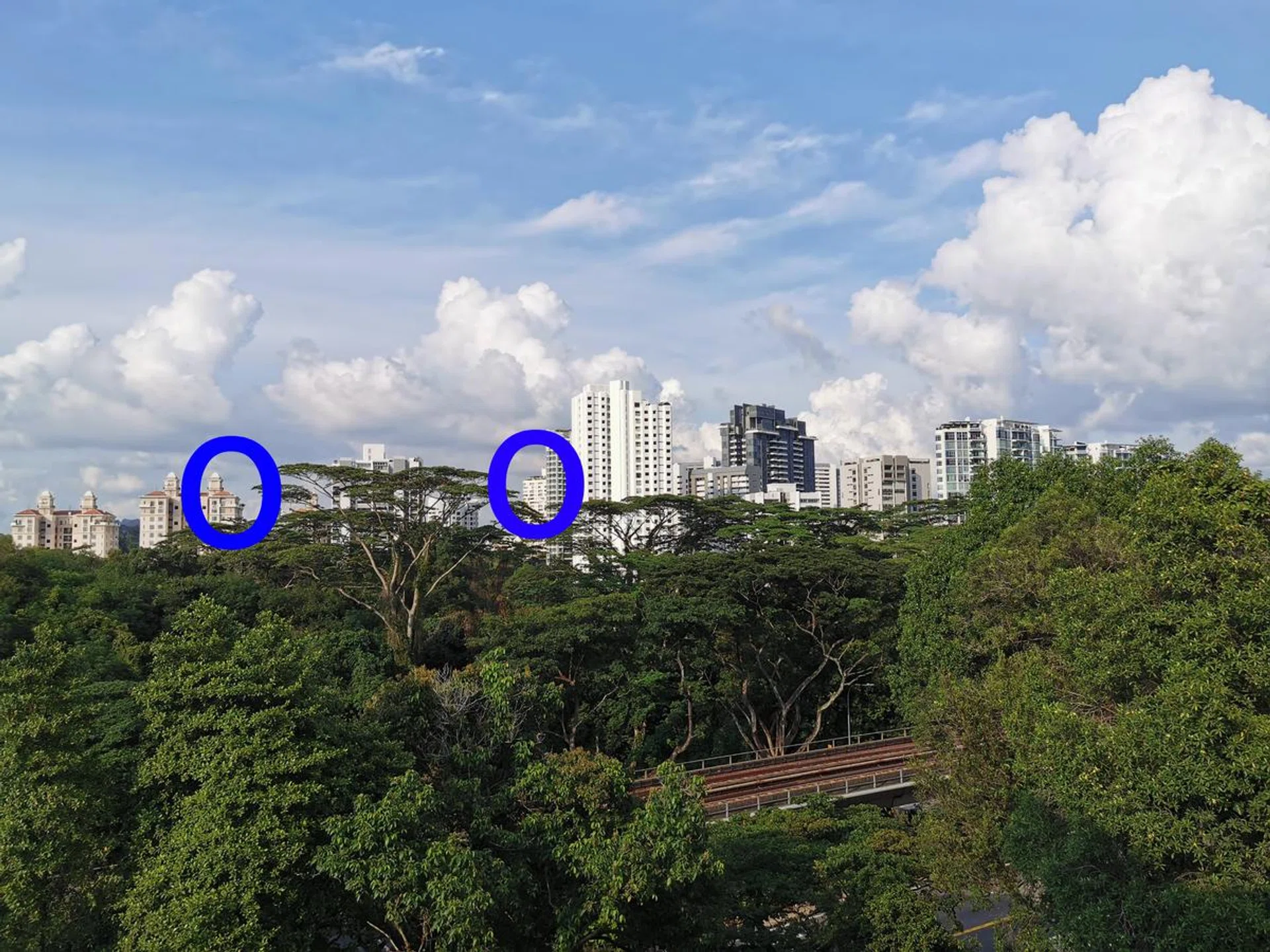 We're going to use this image as a guide for our zoom tests. Observe the two blue-circled areas. (This image was not shot with the Samsung devices.)