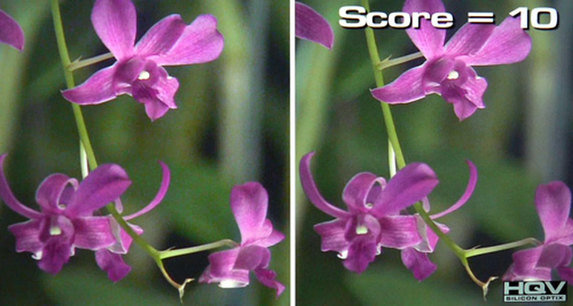 HQV's HD Noise Reduction Test - It's good to know that Sony has finally made a tangible effort in engineering a decent noise filter. The EX520 is equipped with three different algorithms to tackle noise issues on both SD and HD feeds.