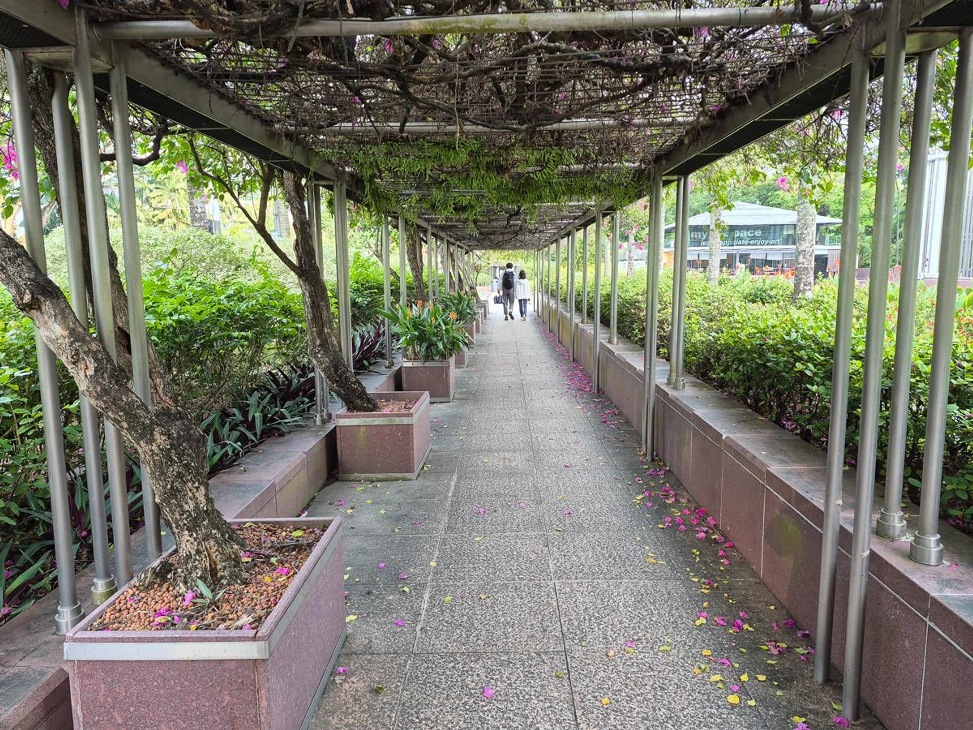 Main camera. Photo: HWZ.