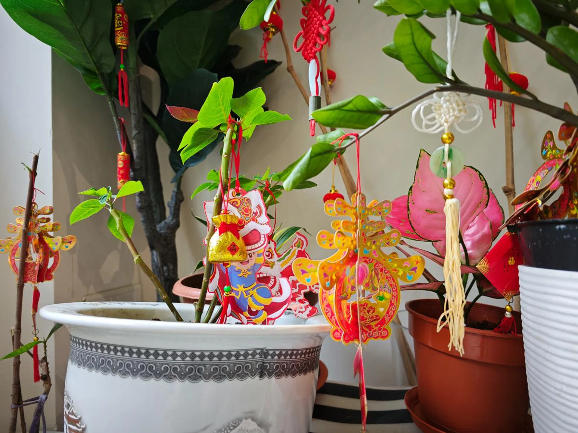 Main camera. Photo: HWZ.