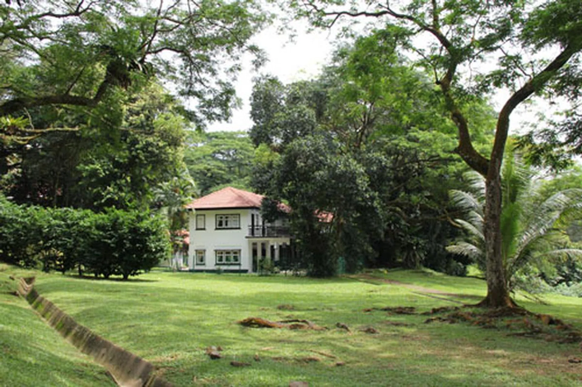 f/8, 38mm, 1/100 sec, ISO100.