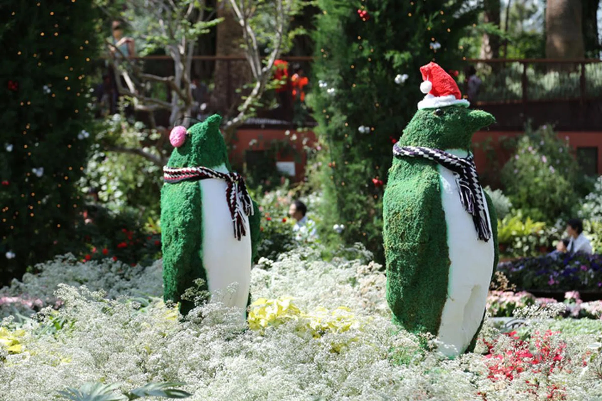 f/5 at 105mm, 1/200 sec, ISO 100.