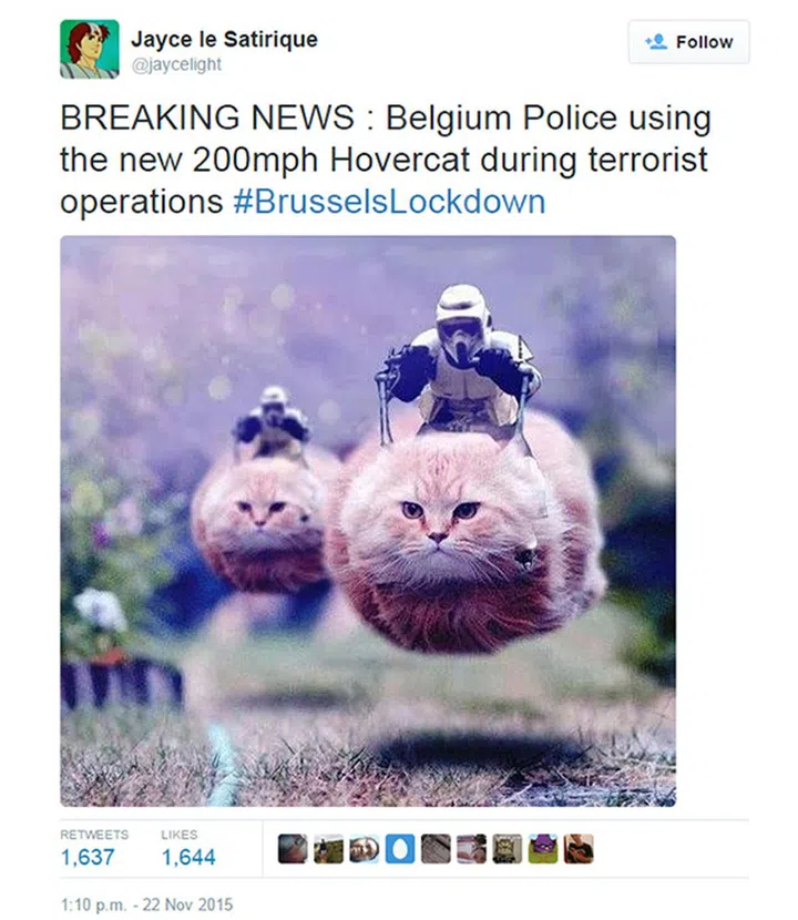 Clearly, no one can stand against these majestic mounts.