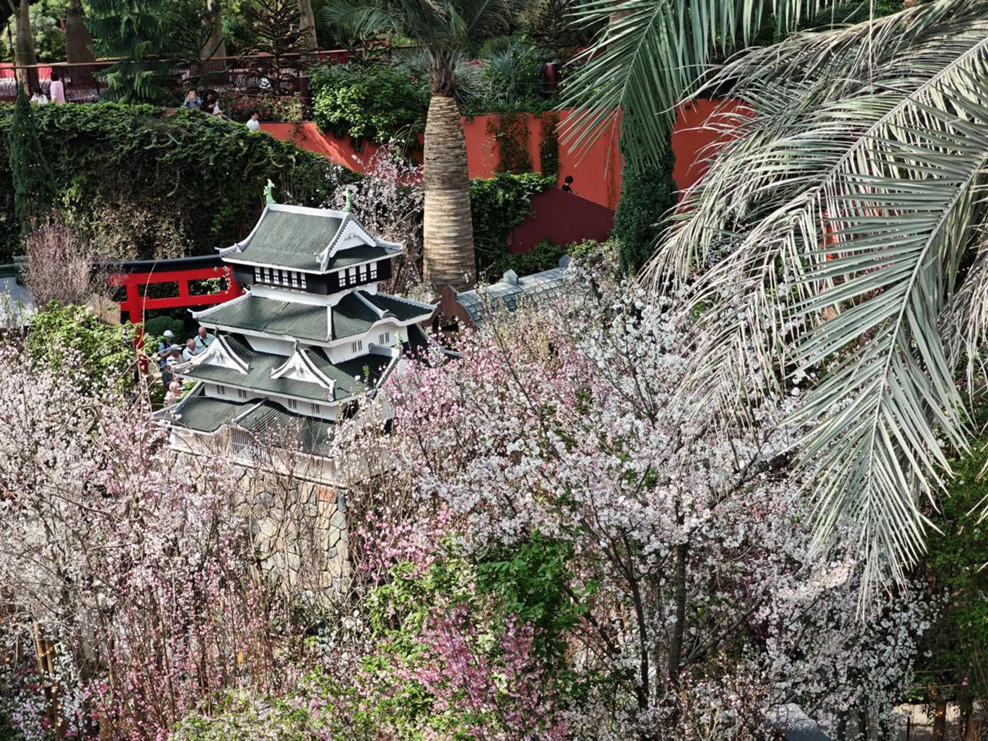 2.5x zoom. Photo: HWZ.