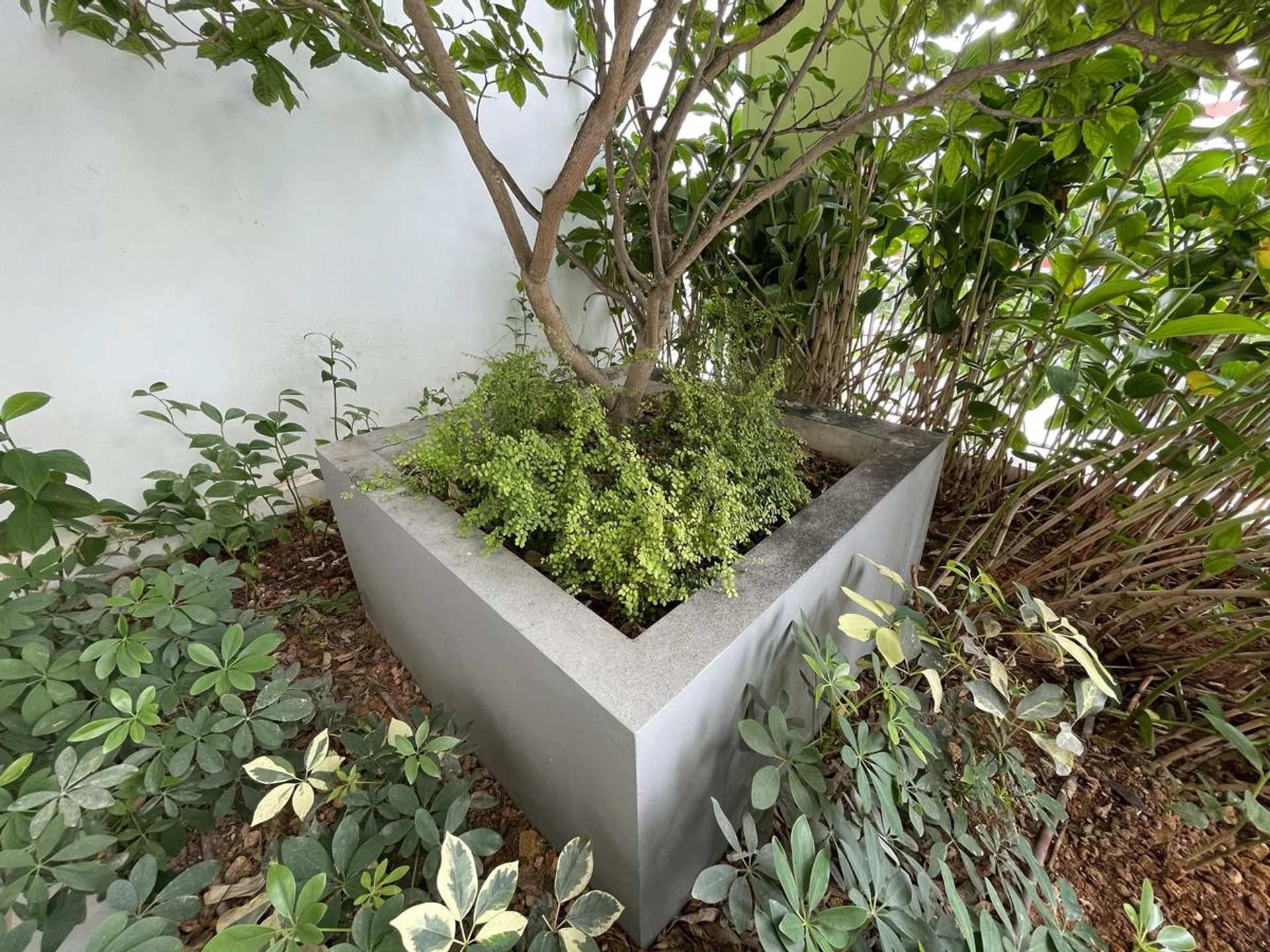 Image 3A. Click to see full image.