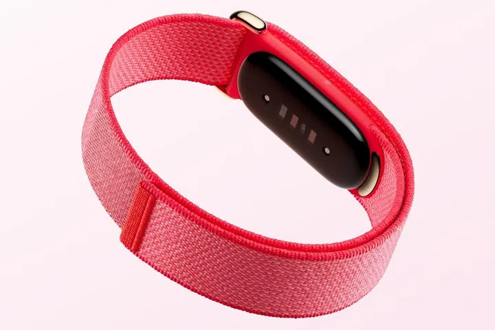Google Fitbit Air